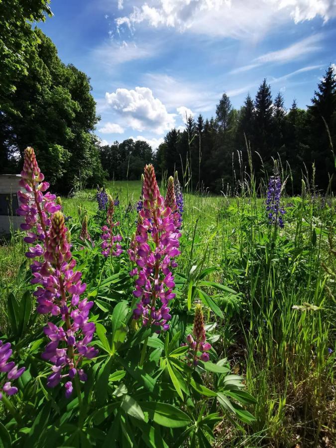 ホテルCyklocamp Pod Landstejnem Stare Mesto  エクステリア 写真
