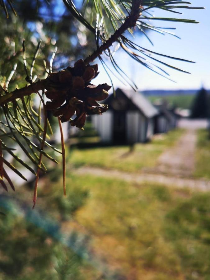 ホテルCyklocamp Pod Landstejnem Stare Mesto  エクステリア 写真